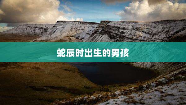 蛇辰时出生的男孩