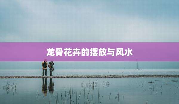 龙骨花卉的摆放与风水
