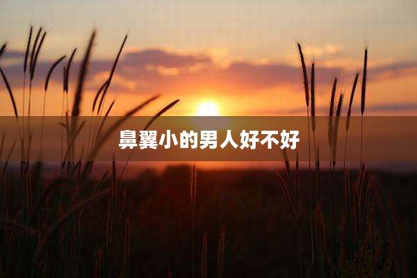 鼻翼小的男人好不好