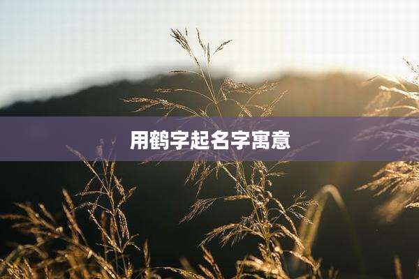 用鹤字起名字寓意
