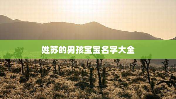 姓苏的男孩宝宝名字大全