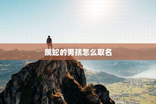 属蛇的男孩怎么取名
