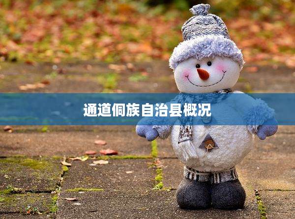 通道侗族自治县概况