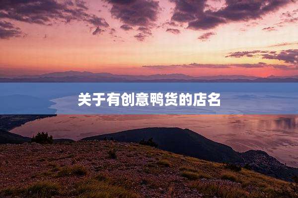 关于有创意鸭货的店名