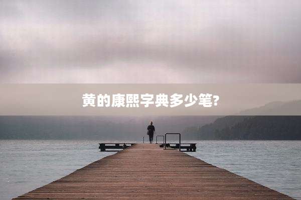 黄的康熙字典多少笔?