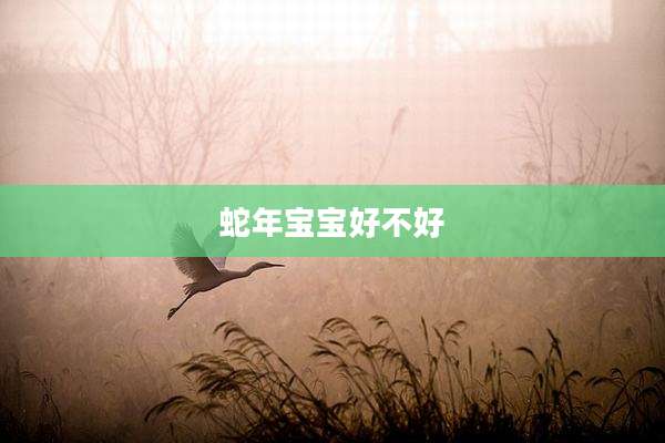 蛇年宝宝好不好