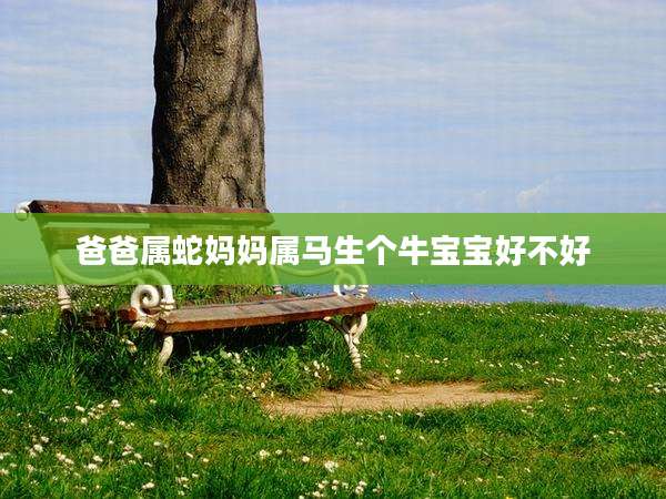 爸爸属蛇妈妈属马生个牛宝宝好不好