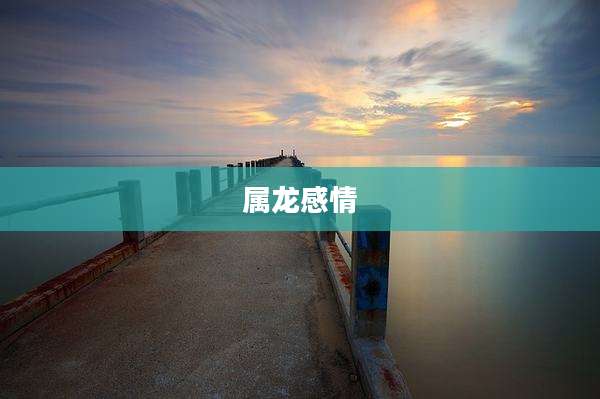 属龙感情