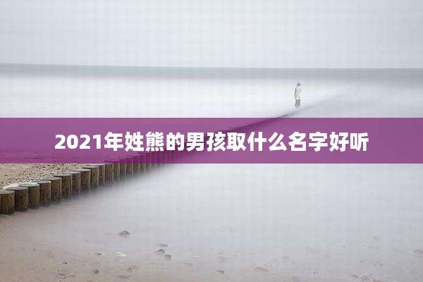 2021年姓熊的男孩取什么名字好听