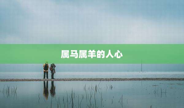 属马属羊的人心