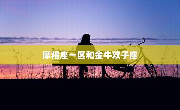 摩羯座一区和金牛双子座