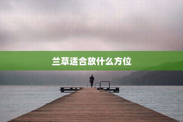 兰草适合放什么方位