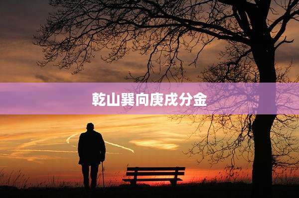 乾山巽向庚戌分金
