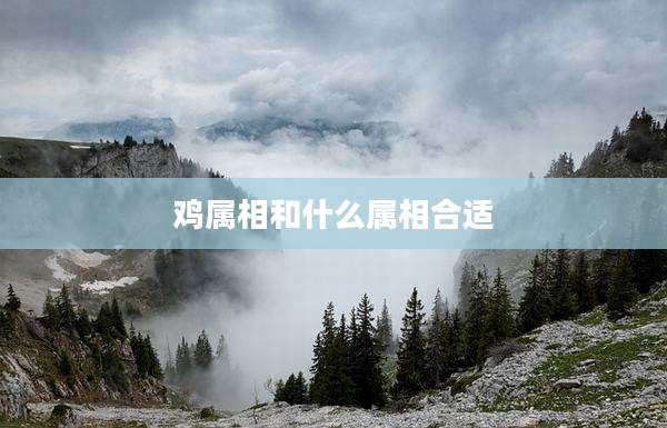 鸡属相和什么属相合适