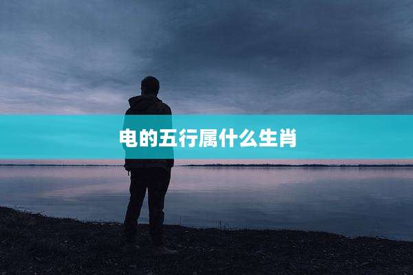电的五行属什么生肖