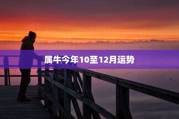 属牛今年10至12月运势