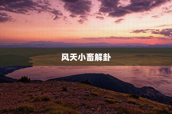 风天小畜解卦