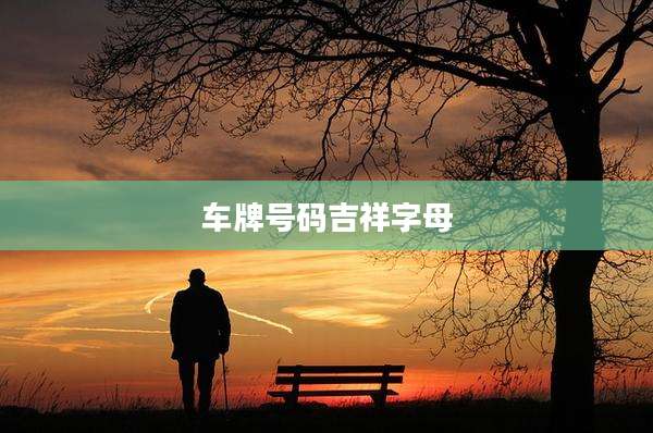 车牌号码吉祥字母