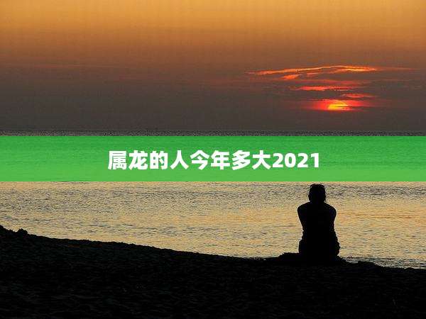 属龙的人今年多大2021