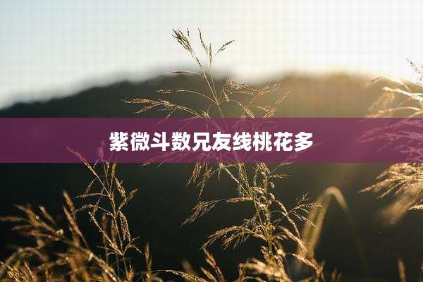 紫微斗数兄友线桃花多