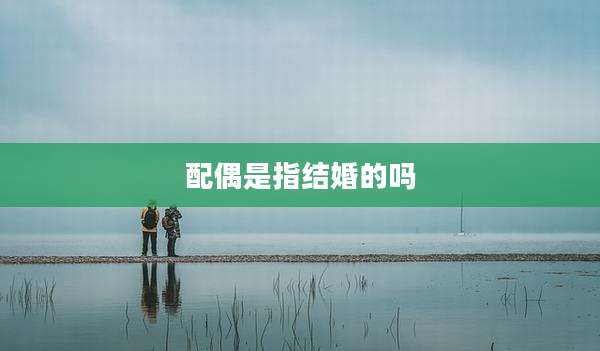 配偶是指结婚的吗