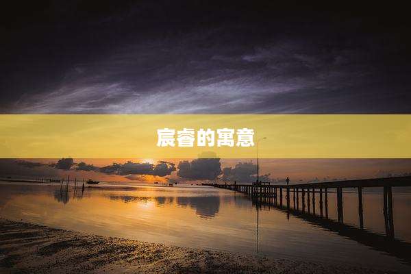 宸睿的寓意