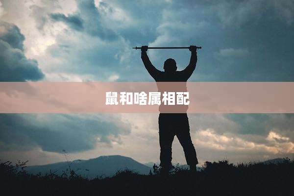 鼠和啥属相配