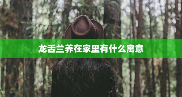 龙舌兰养在家里有什么寓意