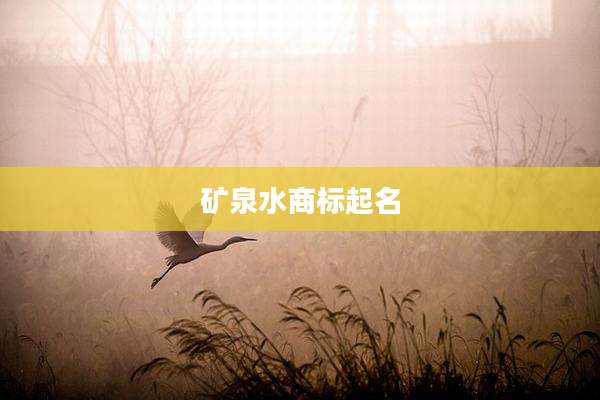 矿泉水商标起名