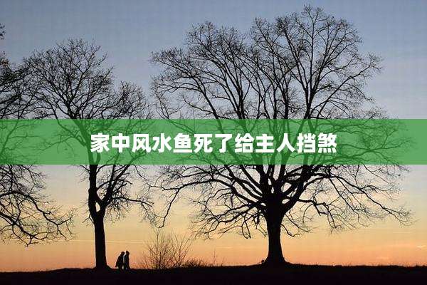 家中风水鱼死了给主人挡煞
