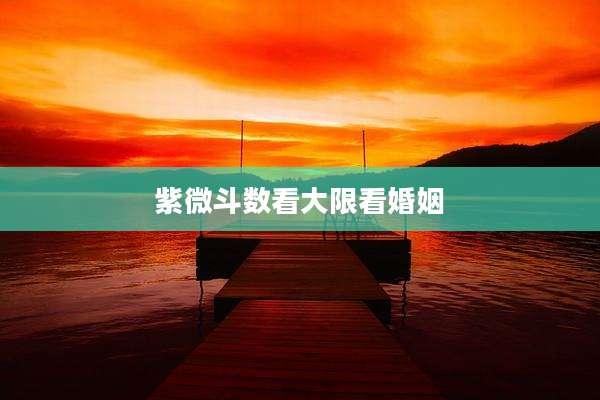 紫微斗数看大限看婚姻