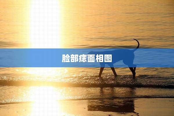 脸部痣面相图