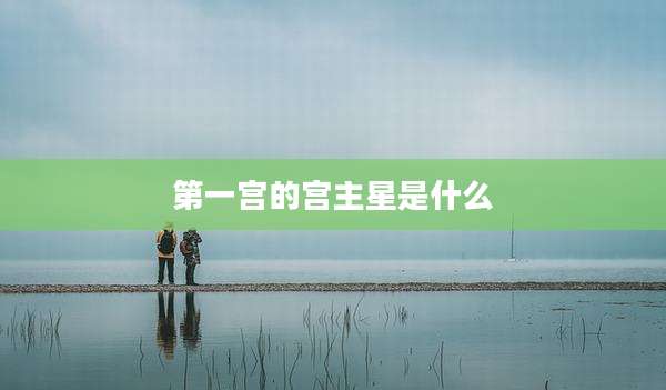 第一宫的宫主星是什么