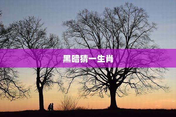 黑暗猜一生肖