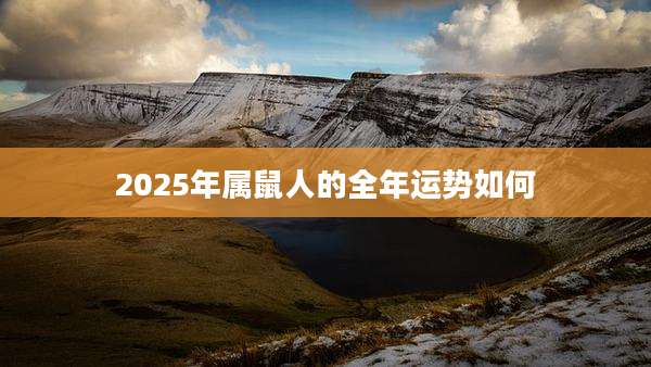 2025年属鼠人的全年运势如何