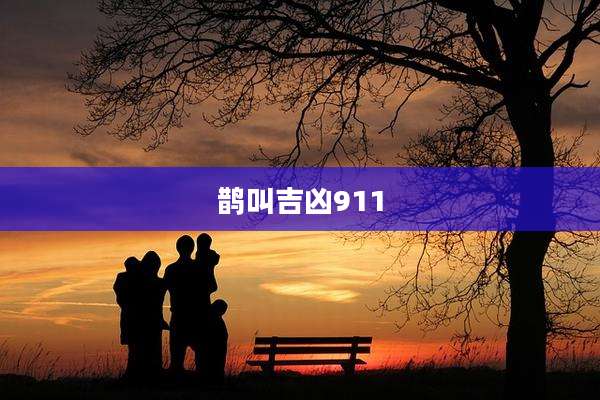 鹊叫吉凶911