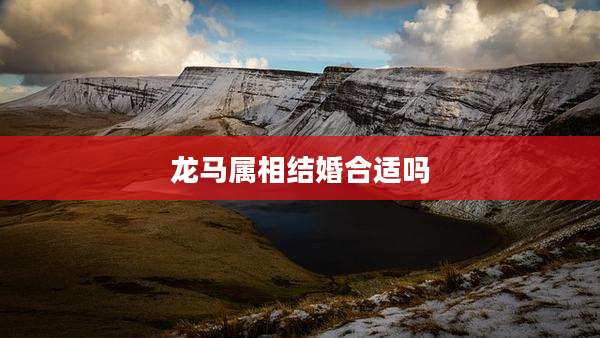 龙马属相结婚合适吗