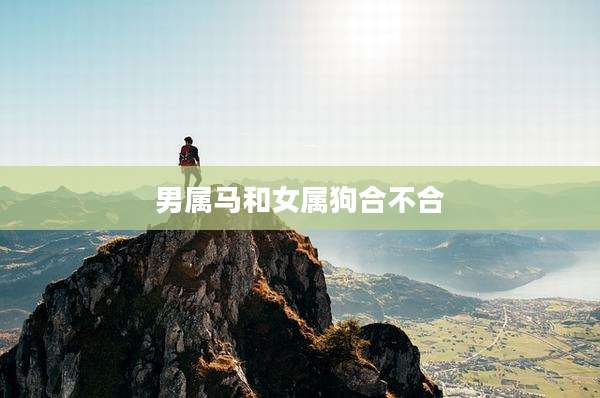 男属马和女属狗合不合