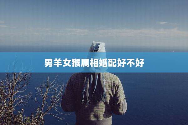男羊女猴属相婚配好不好