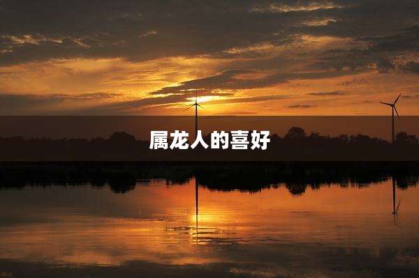 属龙人的喜好