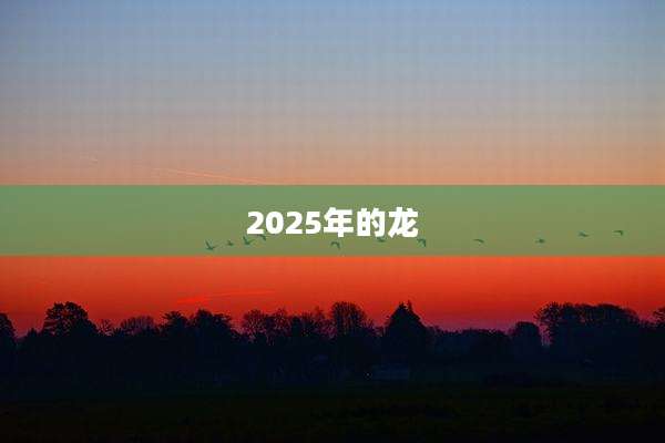 2025年的龙