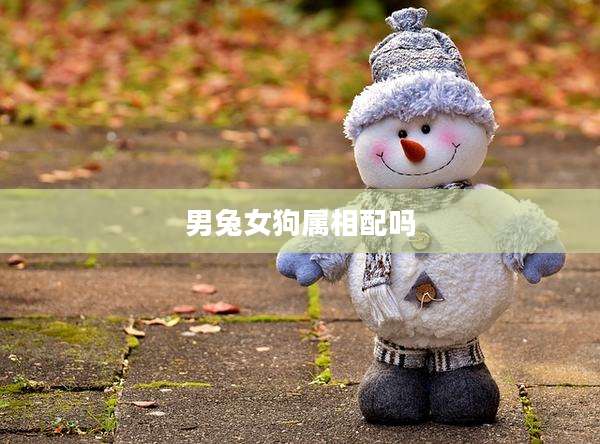 男兔女狗属相配吗