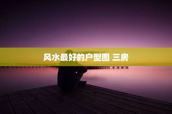 风水最好的户型图 三房