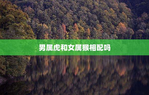 男属虎和女属猴相配吗