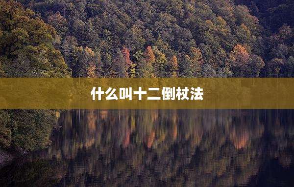 什么叫十二倒杖法