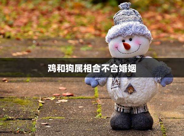 鸡和狗属相合不合婚姻