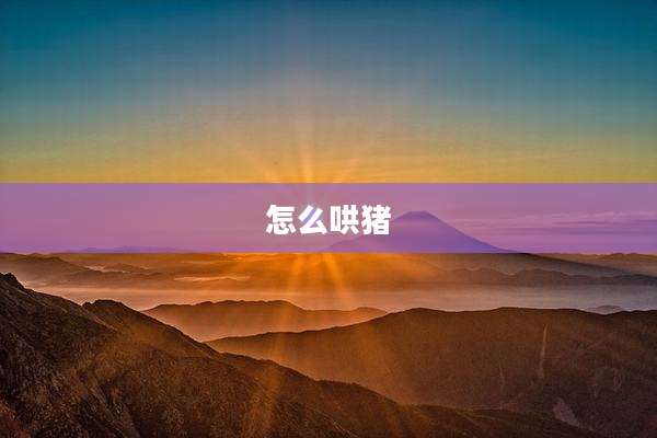 怎么哄猪