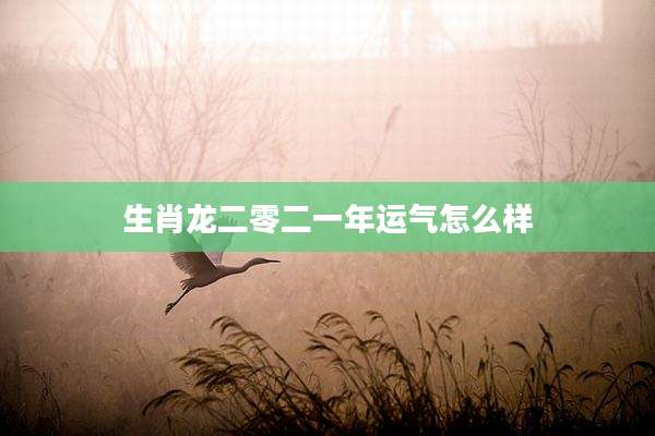 生肖龙二零二一年运气怎么样