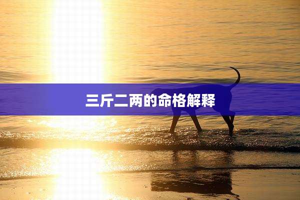 三斤二两的命格解释