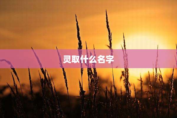 灵取什么名字